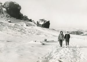 cow and calf rocks 1962 sm.jpg